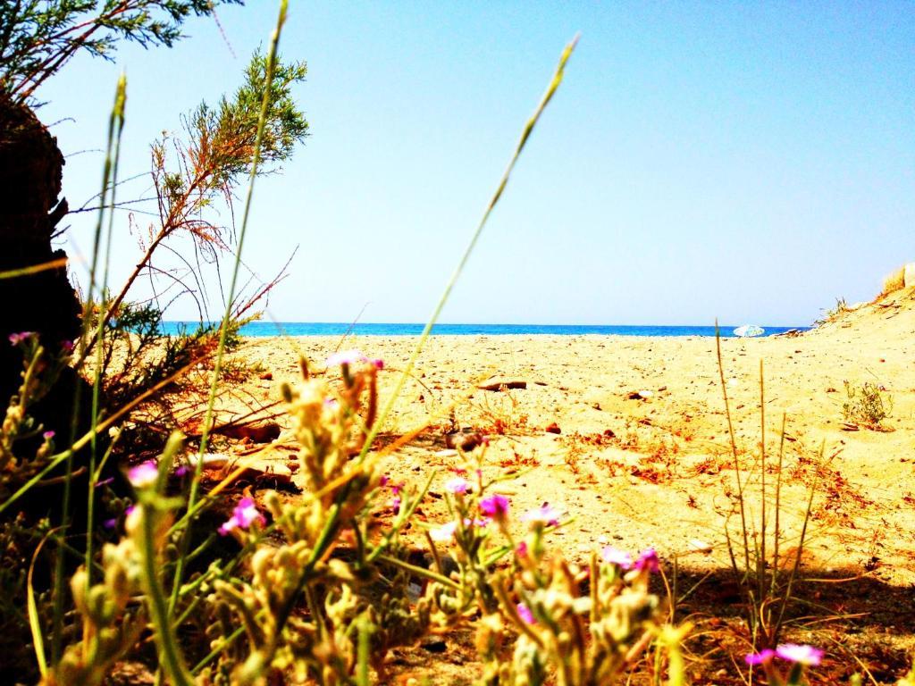 Chrissas Apartments Rethymno Esterno foto