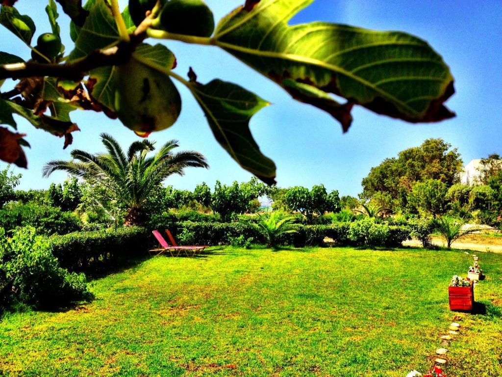 Chrissas Apartments Rethymno Esterno foto
