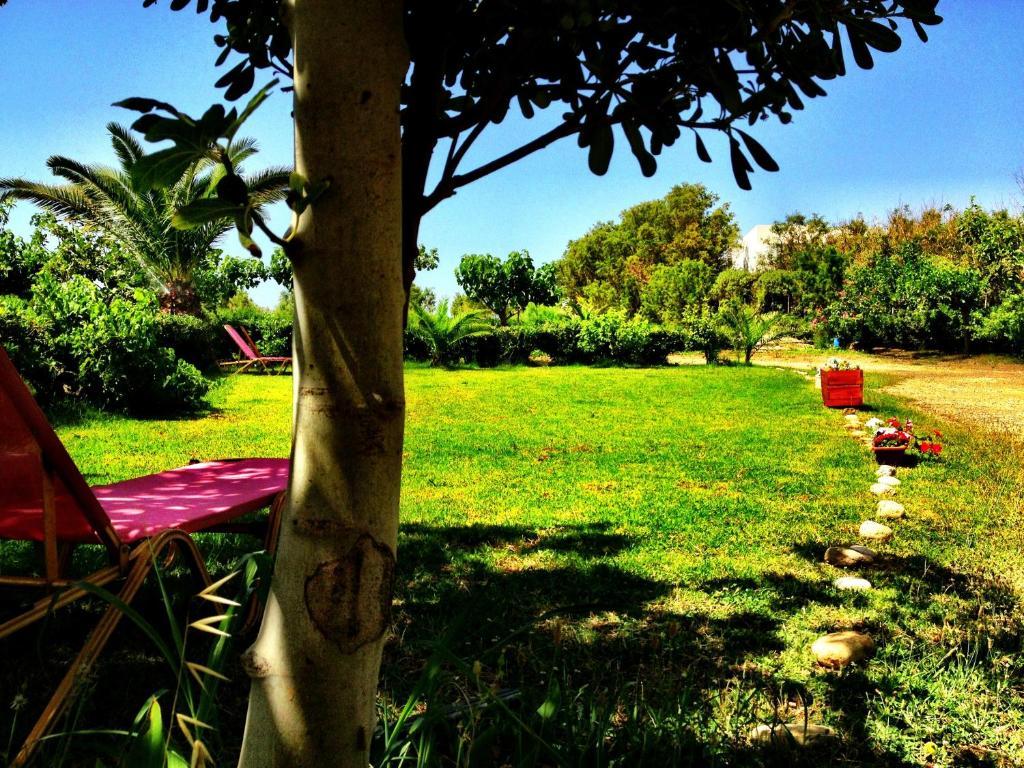 Chrissas Apartments Rethymno Esterno foto